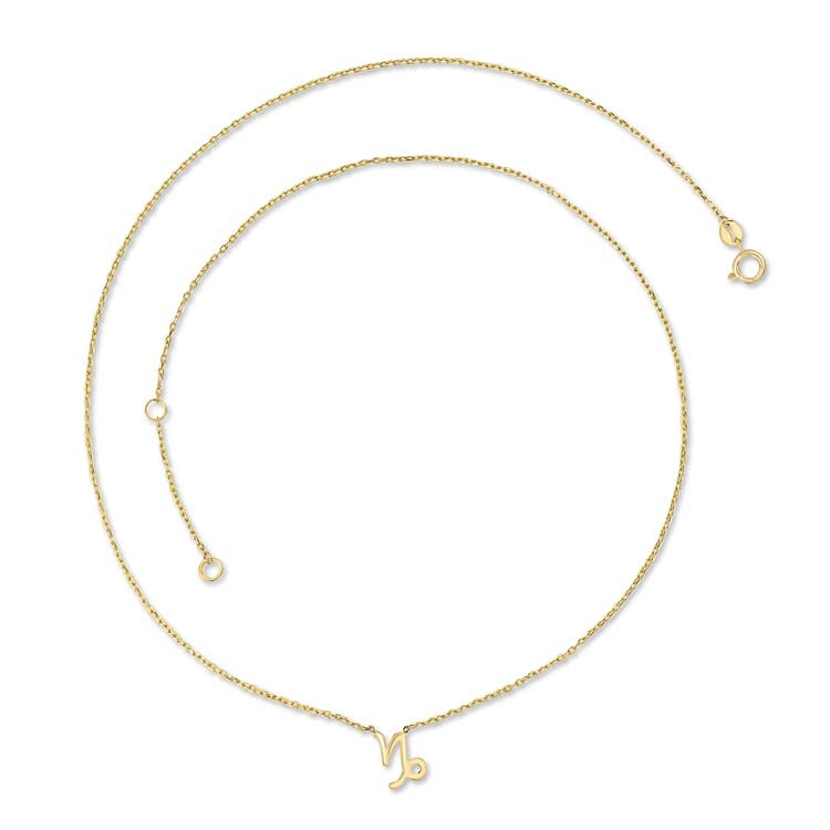 9K Yellow Gold Capricorn Necklace 40-45cm